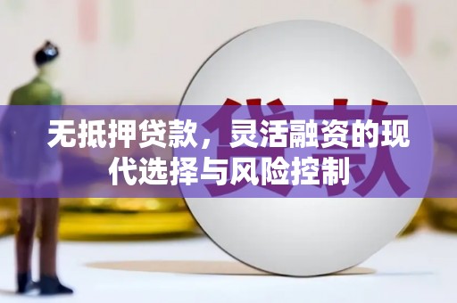 市中区无抵押贷款，灵活融资的现代选择与风险控制