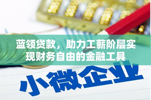 市中区蓝领贷款，助力工薪阶层实现财务自由的金融工具