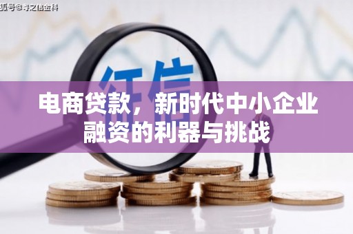 市中区电商贷款，新时代中小企业融资的利器与挑战