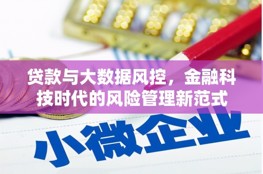 市中区贷款与大数据风控，金融科技时代的风险管理新范式