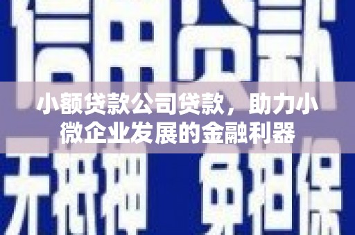 市中区小额贷款公司贷款，助力小微企业发展的金融利器