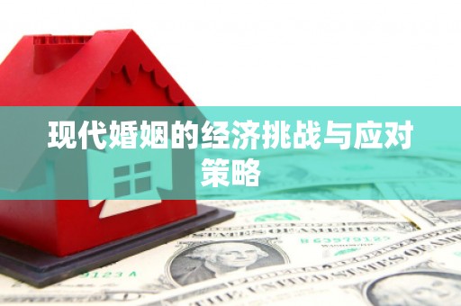 市中区现代婚姻的经济挑战与应对策略