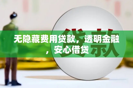 市中区无隐藏费用贷款，透明金融，安心借贷
