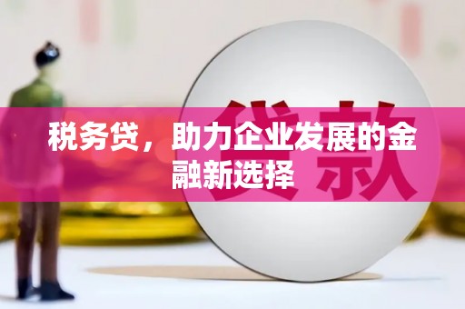 市中区税务贷，助力企业发展的金融新选择