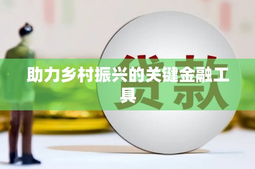 市中区助力乡村振兴的关键金融工具