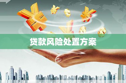 市中区贷款风险处置方案