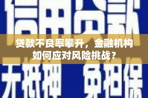 市中区贷款不良率攀升，金融机构如何应对风险挑战？