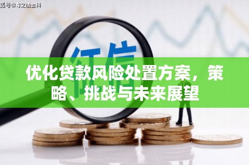 市中区优化贷款风险处置方案，策略、挑战与未来展望