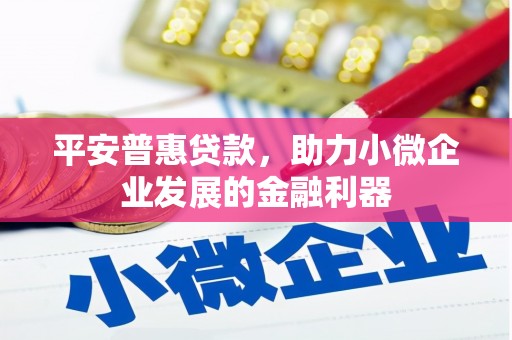 市中区平安普惠贷款，助力小微企业发展的金融利器