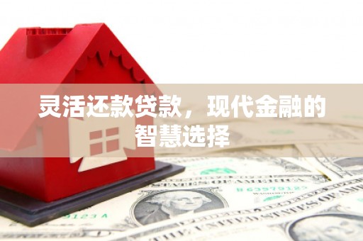 市中区灵活还款贷款，现代金融的智慧选择