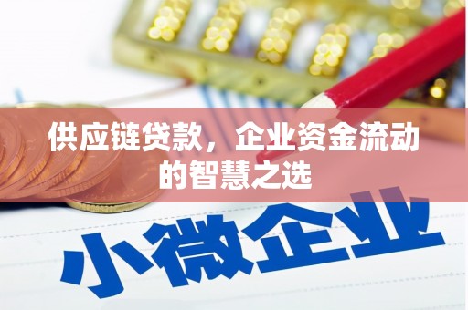 市中区供应链贷款，企业资金流动的智慧之选