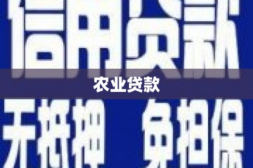 市中区农业贷款
