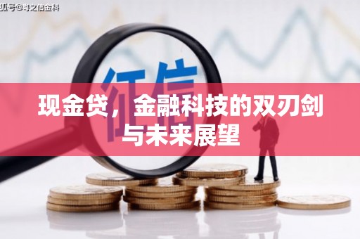 市中区现金贷，金融科技的双刃剑与未来展望