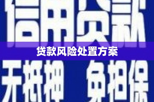 市中区贷款风险处置方案