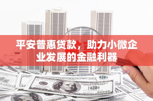 市中区平安普惠贷款，助力小微企业发展的金融利器
