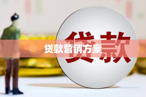 市中区贷款营销方案