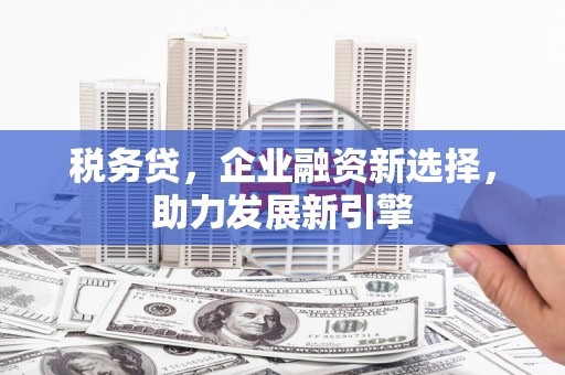 市中区税务贷，企业融资新选择，助力发展新引擎