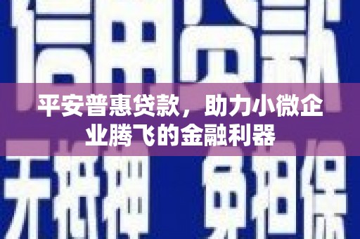 市中区平安普惠贷款，助力小微企业腾飞的金融利器