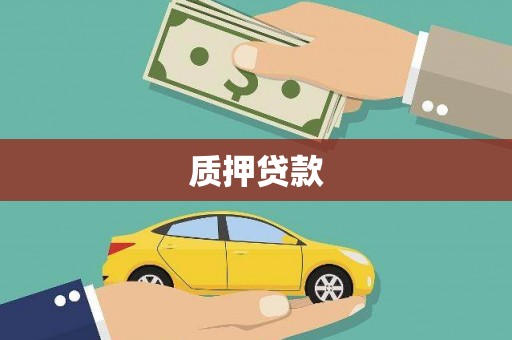 市中区质押贷款