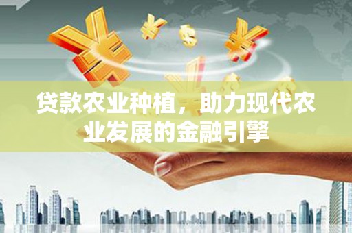 市中区贷款农业种植，助力现代农业发展的金融引擎