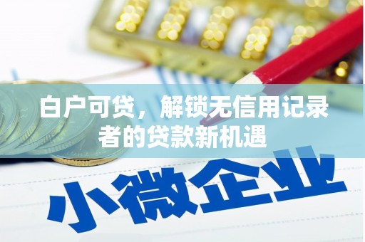 市中区白户可贷，解锁无信用记录者的贷款新机遇