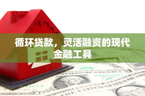 市中区循环贷款，灵活融资的现代金融工具