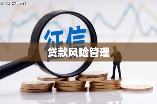 市中区贷款风险管理