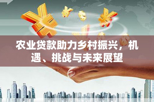 市中区农业贷款助力乡村振兴，机遇、挑战与未来展望