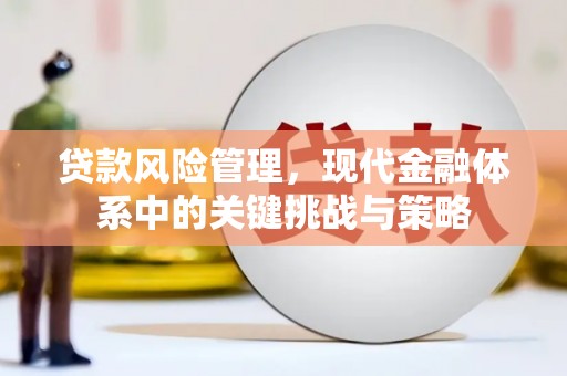 市中区贷款风险管理，现代金融体系中的关键挑战与策略