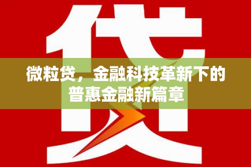 市中区微粒贷，金融科技革新下的普惠金融新篇章