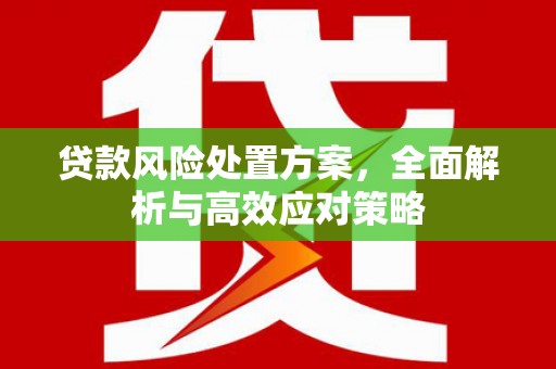 市中区贷款风险处置方案，全面解析与高效应对策略
