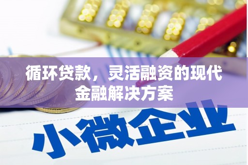 市中区循环贷款，灵活融资的现代金融解决方案