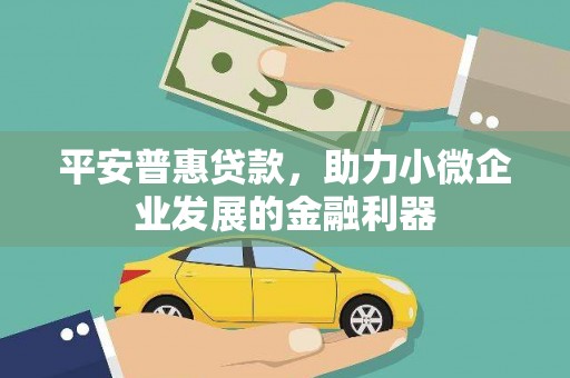 市中区平安普惠贷款，助力小微企业发展的金融利器