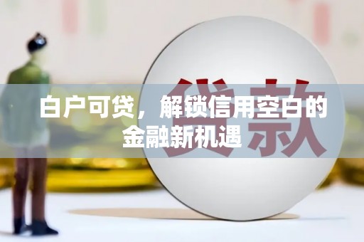 市中区白户可贷，解锁信用空白的金融新机遇