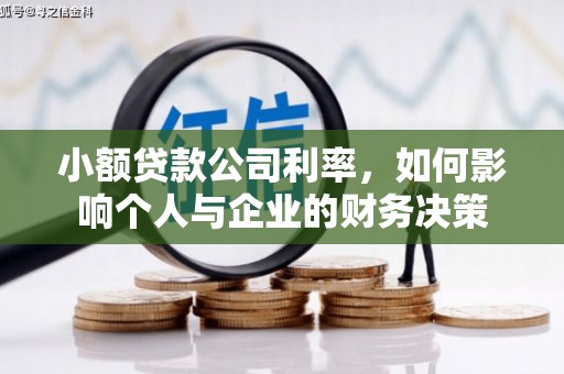 市中区小额贷款公司利率，如何影响个人与企业的财务决策