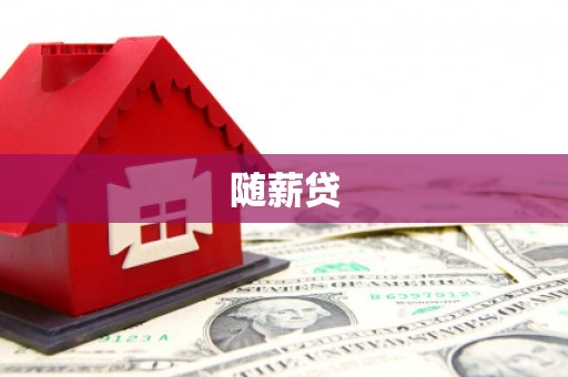市中区随薪贷