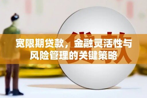 市中区宽限期贷款，金融灵活性与风险管理的关键策略
