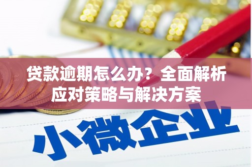 市中区贷款逾期怎么办？全面解析应对策略与解决方案