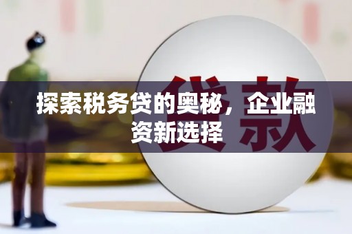 市中区探索税务贷的奥秘，企业融资新选择