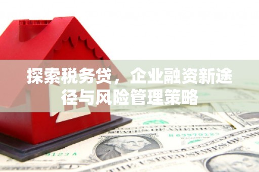 市中区探索税务贷，企业融资新途径与风险管理策略