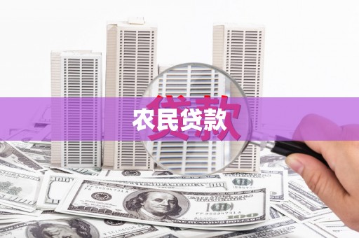 市中区农民贷款