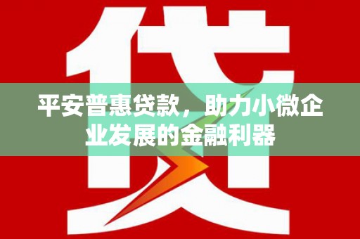 市中区平安普惠贷款，助力小微企业发展的金融利器