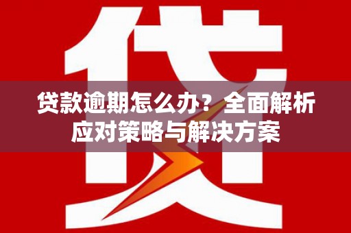 市中区贷款逾期怎么办？全面解析应对策略与解决方案