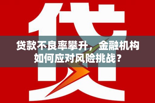 市中区贷款不良率攀升，金融机构如何应对风险挑战？