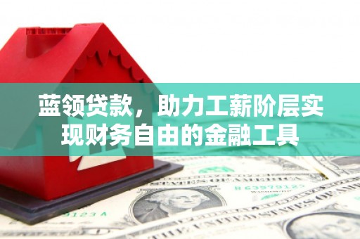 市中区蓝领贷款，助力工薪阶层实现财务自由的金融工具