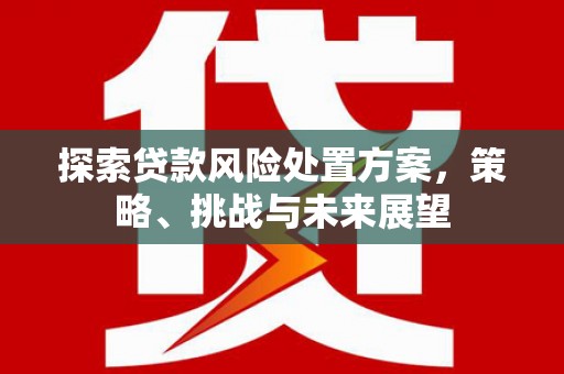 市中区探索贷款风险处置方案，策略、挑战与未来展望