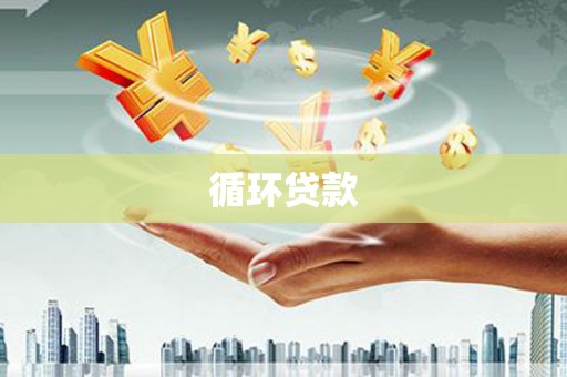 市中区循环贷款