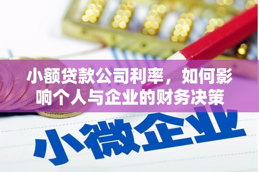 市中区小额贷款公司利率，如何影响个人与企业的财务决策