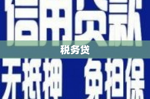 市中区税务贷