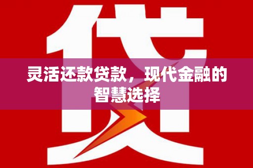 市中区灵活还款贷款，现代金融的智慧选择